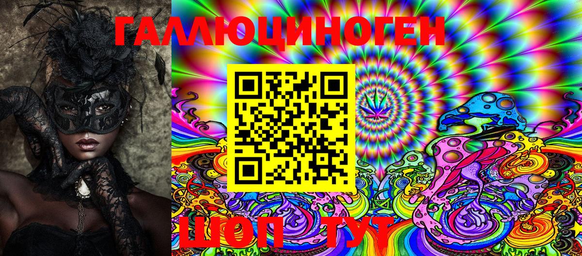 Псилоцибиновые грибы Psilocybe Шатура