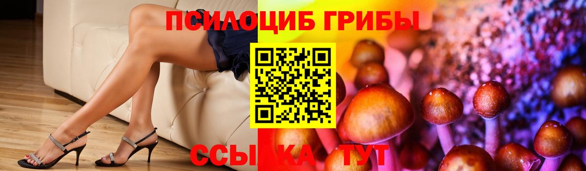 Галлюциногенные грибы Psilocybe  Галлюциногенные грибы мухоморы  Шатура  Вход с VPN 